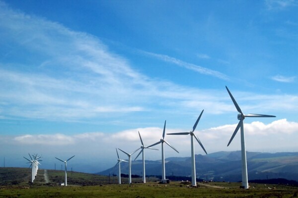 Wind and solar smash records on Australia’s main grid as coal continues decline